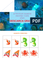 PDF-Activitati-marine.pdf