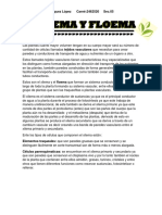 Xilema y Floema PDF