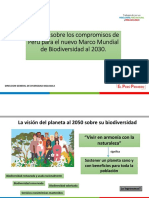 Ppt marco mundial DB 2030