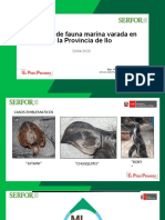 Manejo Fauna Marina Ilo PDF