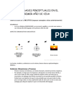 HABILIDADES PERCEPTUALES EN EL PRIMER AÑO DE VIDA