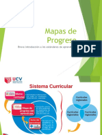 MAPAS DE PROGRESO - VIII ciclo