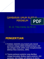 2 Gambaran Umum Ruptur Perineum.pptx