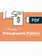 PRESUPUESTO PUBLICO