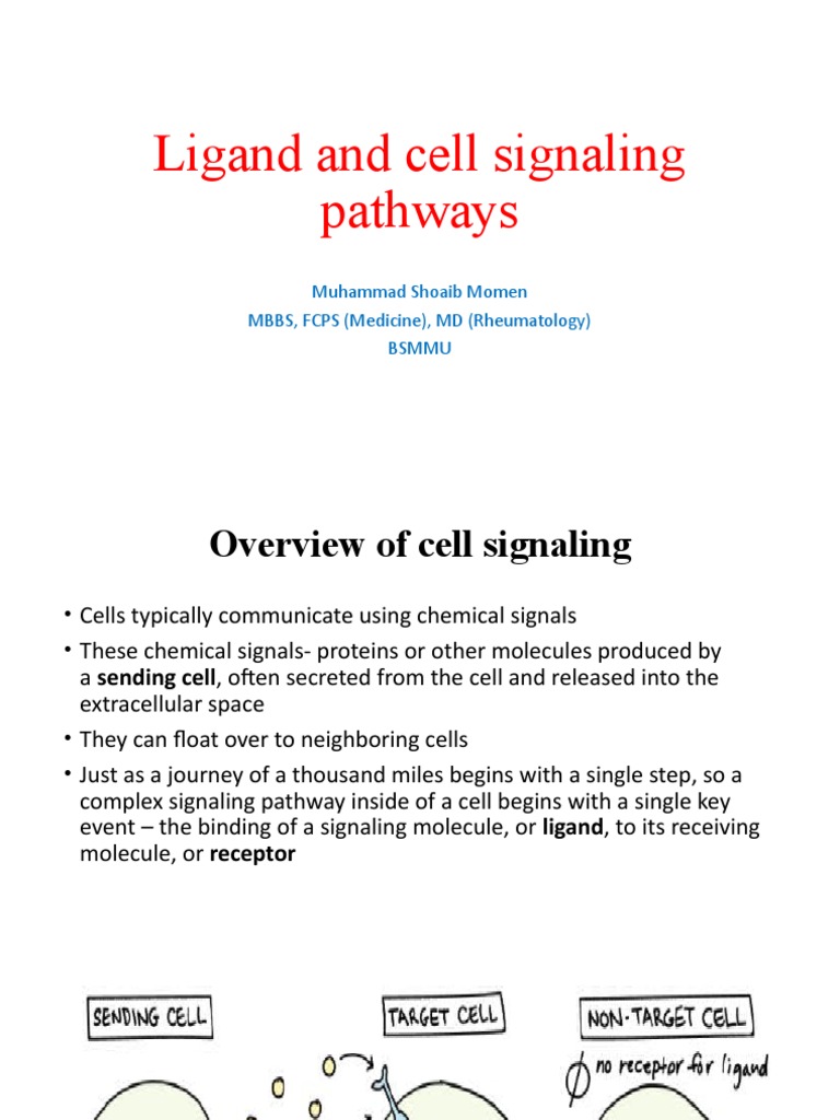 Ligand-Receptor Signaling Pathways | PDF | T Cell | Toll Like Receptor