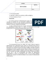 P5_Funciones_Servo.doc