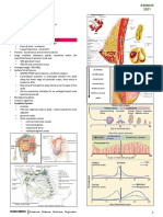 Breast Diseases: Anatomy & Embryology