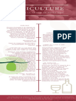 Infografia Sobre Enologia y Sommeleria