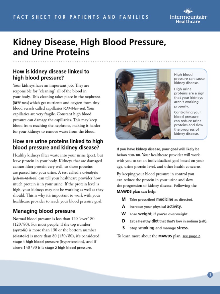 How To Lower Protein in Urine | PDF | Hypertension | Kidney