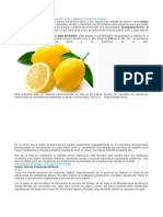 Manual Limon