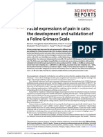 Facial expressions of pain in cats