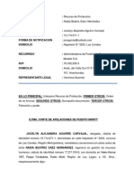 Modelo Proteccion Afp RRT PDF