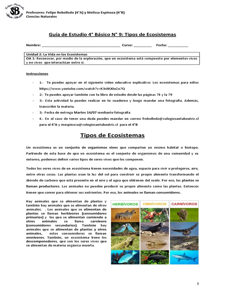 Guia Ciencias N°9 4to Tipos de Ecosistemas | PDF | Ecosistema | Suelo