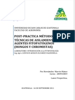Dokumen - Tips - Post Practica Metodos y Tecnicas de Aislamiento de Agentes Fitopatogenos