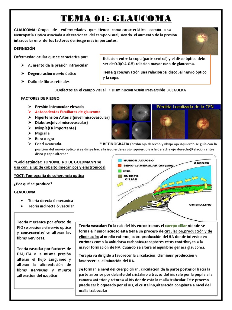 GLAUCOMA | PDF | Glaucoma | Enfermedades del ojo y anexos