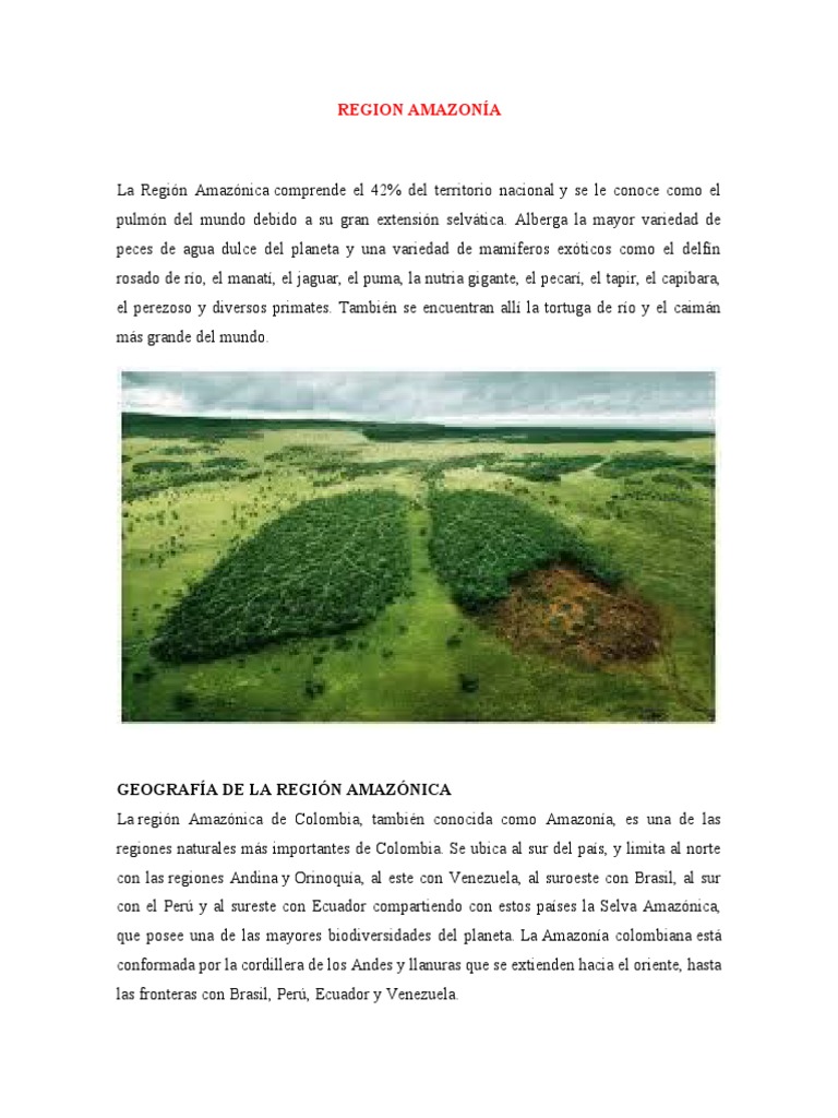Biodiversidad de la Región Amazónica | PDF | Hogar, jardinería y bricolaje