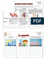 Enfermedades y Cuidados Del Sistema Circulatorio