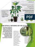 Cómo evitar la deficiencia de fósforo en plantas con menos de