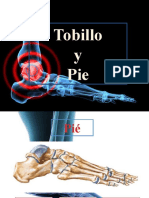 6 - Tobillo y Pié