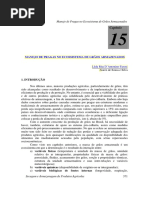 Capítulo 15