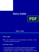 Chapter 8 Dairy Cattle - Dairy Products