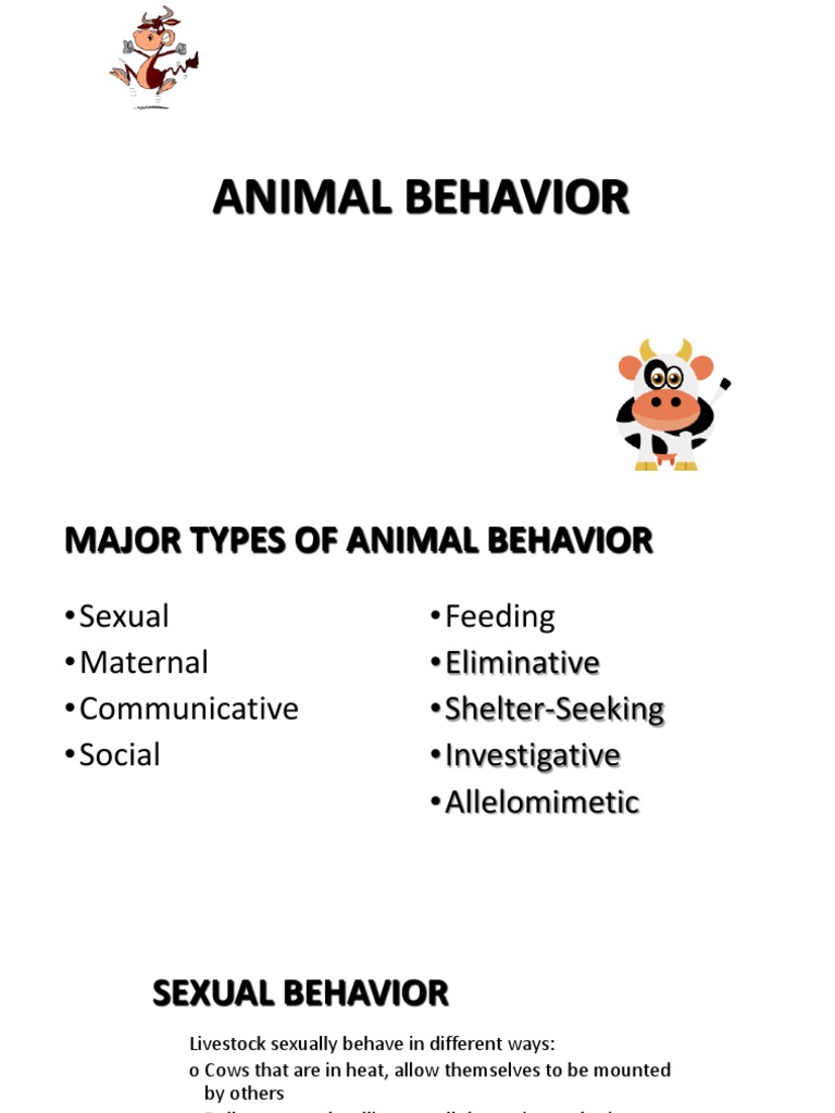 Chapter 11 Animal Behavior | PDF | Cattle | Sheep