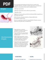 Prueba de Nitrazina y Cristalografía RPM | PDF