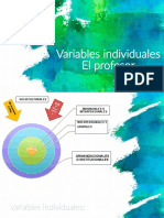 Variables Individuales-Profesor (1) .