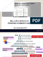 3ra-8va Semana Desarrollo