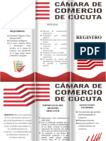 FOLLETO CC.pdf