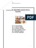 SINDROME-ABDOMEN-AGUDO-EN-EL-EQUINO.pdf
