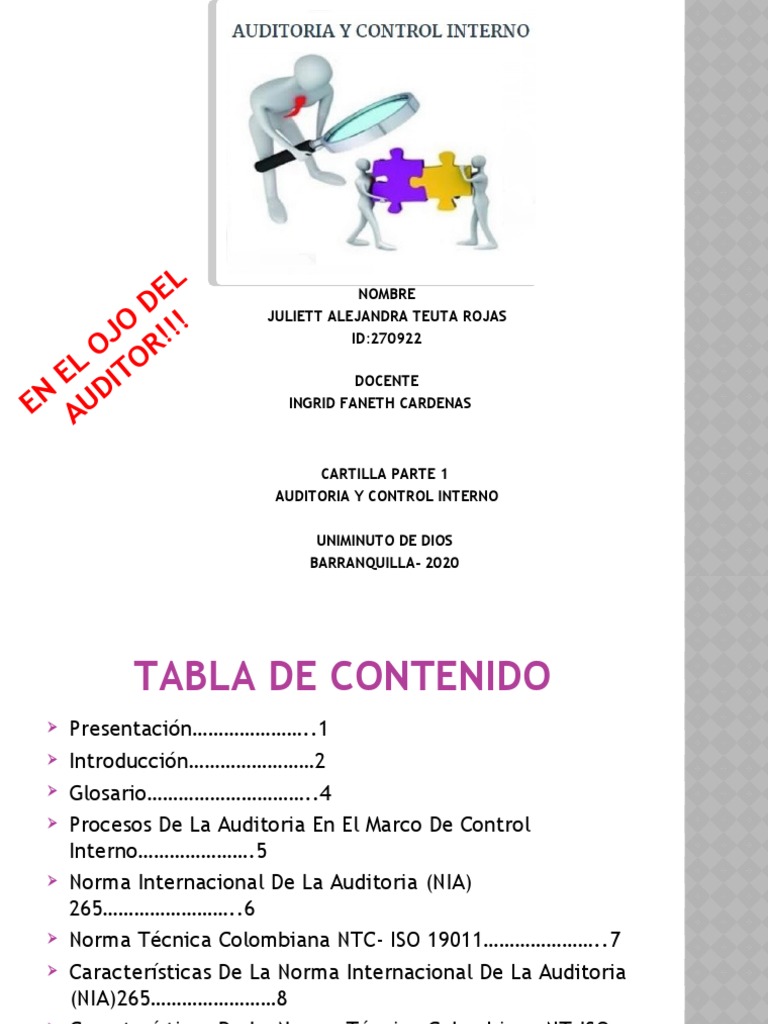 Auditoría y Control Interno en NIA 265 | PDF | Auditoría | Contralor