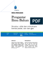Modul PIB1 PDF