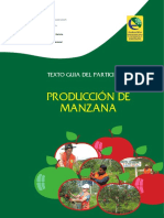 Producción de Manzana.pdf