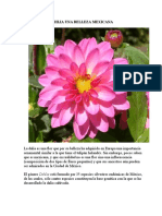 La Dahlia Una Belleza Mexicana