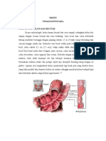 TIPUS KARSINOMA KOLORECTAL Fixed