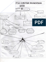 Evidencia 1 Mapa Conceptual EOS