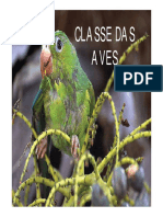 01-Classe Das Aves