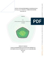Ultrasonik PDF