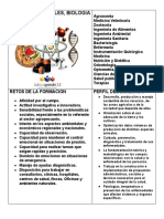 Areas Del Conocimiento