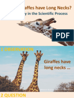 The Scientific Process. Giraffes and Zebras