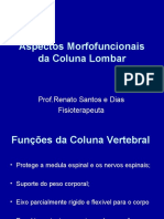 Aspectos morfofuncionais da coluna lombar