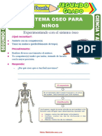 El Sistema Oseo para Niños para Segundo Grado de Primaria