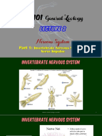 BIO101 Lecture 2 Nervous System Part 1