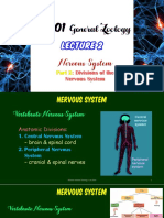 BIO101 lecture 2 Nervous System part 2