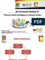Diapositivas Modulo Iii Pap en Intencion Suicida