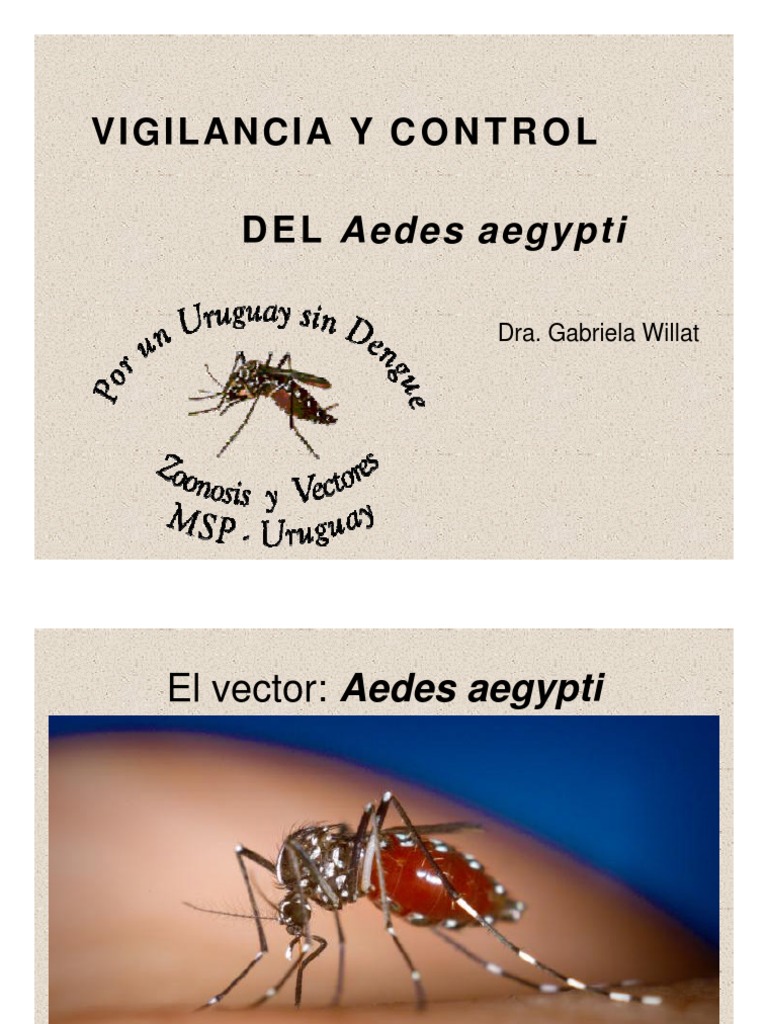 Vigilancia y Control del Aedes aegypti | PDF | Aedes aegypti ...