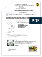 TALLER 6TO B Nutrición