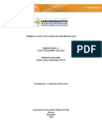 Formulacion de Proyectos PDF