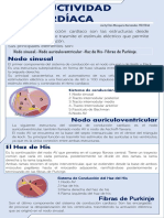 Poster Conductuvidad